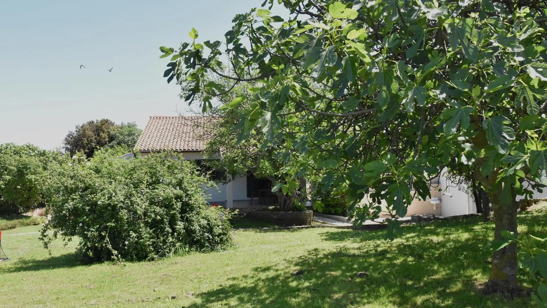 Vacation Home Póla